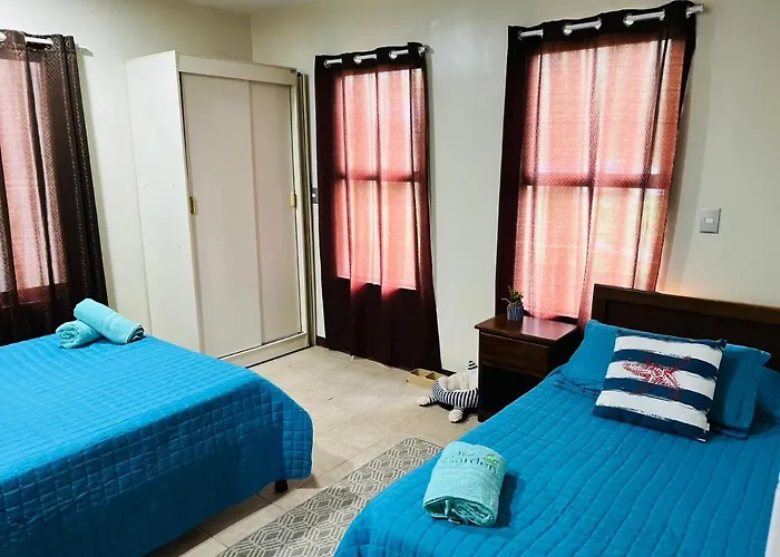 The Garden Apartment