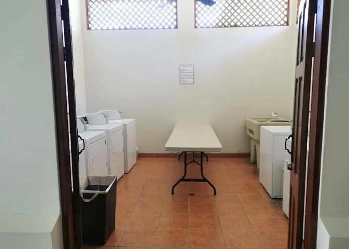 The Garden Apartment *
